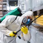 Pest Management and Removal