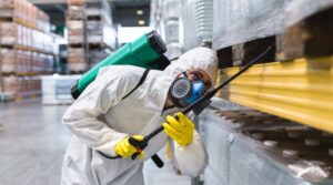 Pest Management and Removal