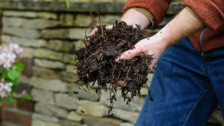 A Comprehensive Guide to Garden Supplies and the Benefits of Mushroom Compost